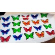 Наклейки для 1 класу нуш та групи дитячого садка: метелики